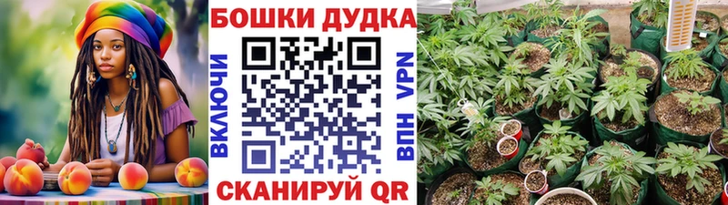 Какие есть наркотики Тетюши АМФ Меф мяу мяу Псилоцибиновые грибы А ПВП