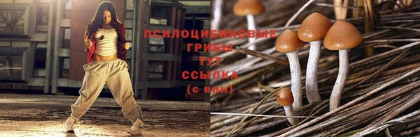 PSILOCYBIN Новокубанск