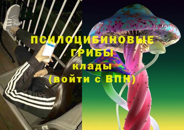 экстази Белокуриха